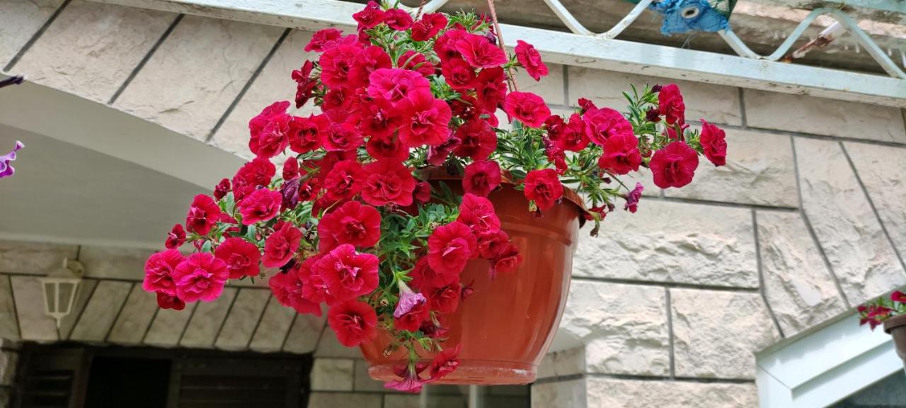 Apartments 1000 Flowers Stari Grad  Zewnętrze zdjęcie