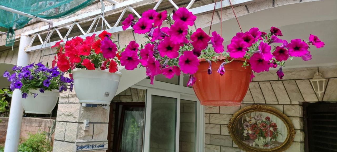 Apartments 1000 Flowers Stari Grad  Zewnętrze zdjęcie