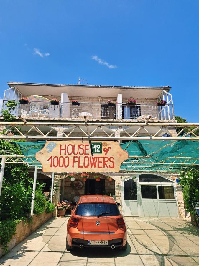 Apartments 1000 Flowers Stari Grad  Zewnętrze zdjęcie