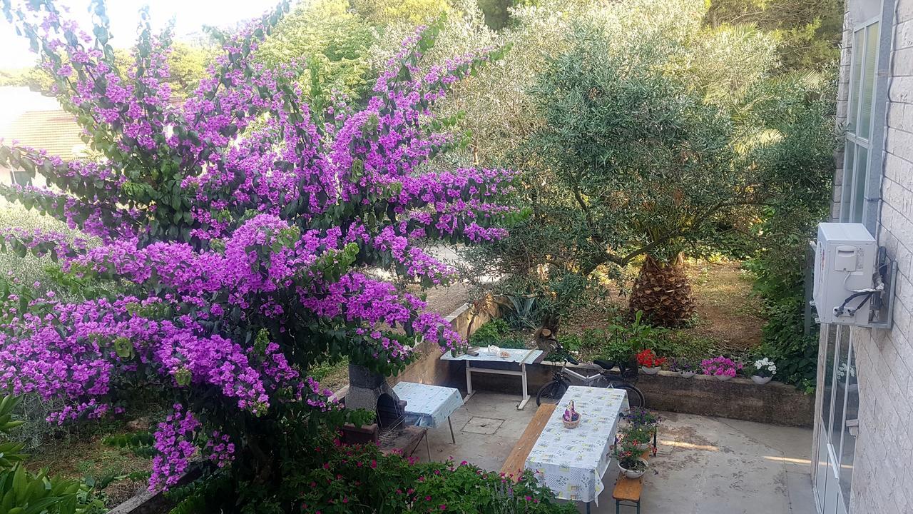 Apartments 1000 Flowers Stari Grad  Zewnętrze zdjęcie